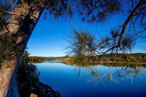 Reflections Ferry Reserve - Holiday Park - Accommodation Asia 2