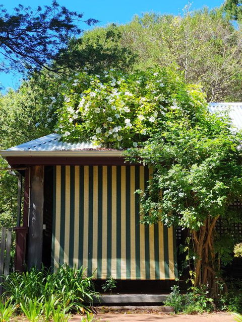 Redgum Hill Country Retreat - Accommodation Asia 3