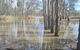 Riversands Rest Accommodation Paringa - River Box Cottage - thumb 3