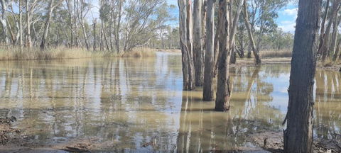 Riversands Rest Accommodation Paringa - River Box Cottage - Accommodation Asia 3