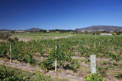 Riversdale Estate Cottages - Accommodation China 1