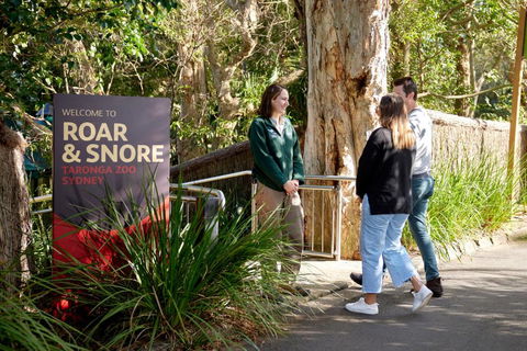 Roar And Snore - Accommodation Asia 1