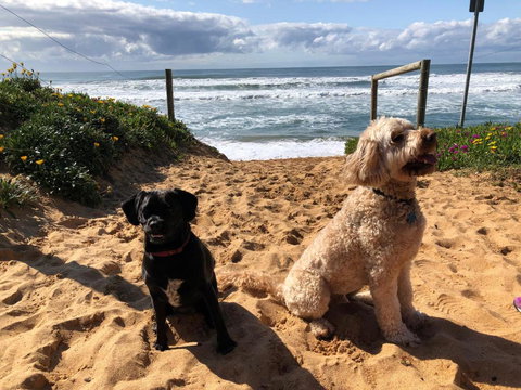 Sanctuary Retreat - Accommodation Asia 2