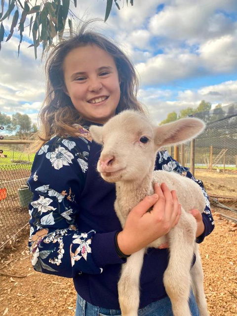 Sandalwood Downs Fabulous Farm Stay TOODYAY - Accommodation China 2