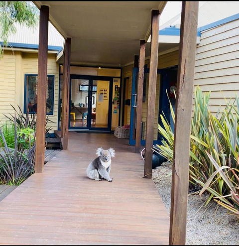 Sandpiper Motel Apollo Bay - Accommodation Guide 3