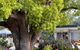 Sturt Motel Balranald - thumb 1