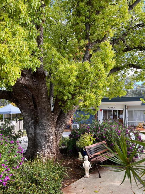 Sturt Motel Balranald - Accommodation Asia 1