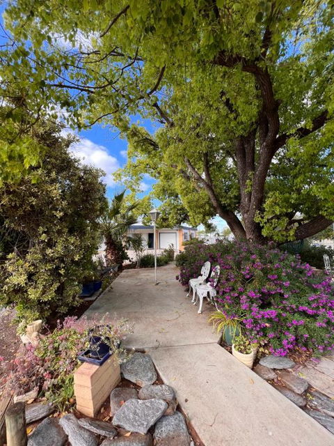 Sturt Motel Balranald - Accommodation Asia 2