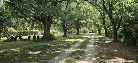 The Avenue Anahdale - Hidden 2.7 Acre Estate In Town - Accommodation Guide 3