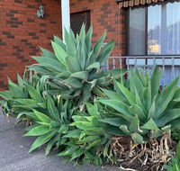 Beautiful Bedroom in Bentleigh East - Accommodation Asia