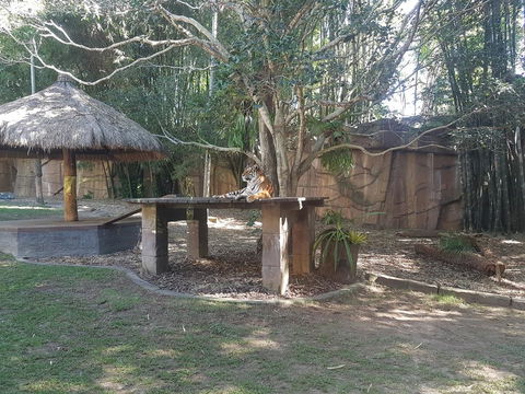 Beerwah House - Accommodation Asia 3