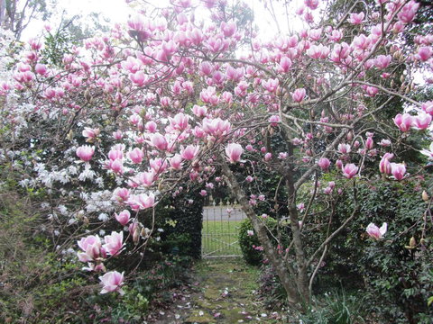 Bellawongarah At Berry - Accommodation Asia 1