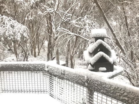 Belltrees - Accommodation Guide 1