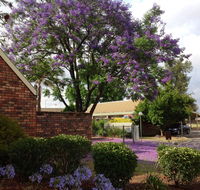 Belvoir Village Motel  Apartments Wodonga - Accommodation Asia