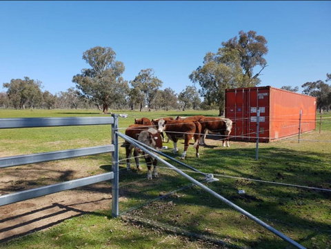 Big Tiny Jindera Park - Accommodation Asia 2