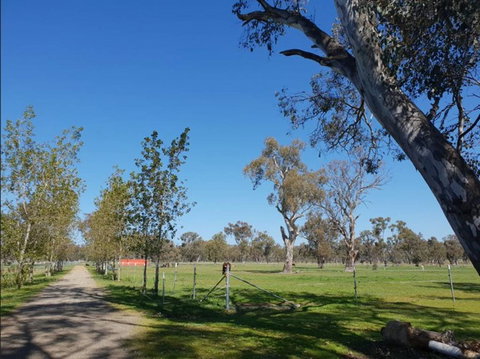 Big Tiny Jindera Park - Accommodation Asia 3