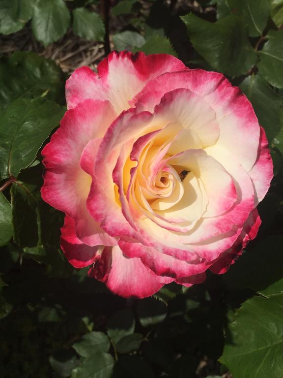 Kanumbra VIC Accommodation China