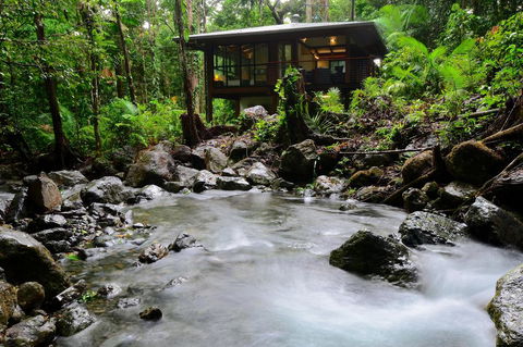 Black Palm Cape Tribulation - Accommodation China 2