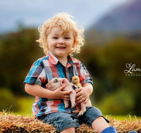 Blackwattle Farm - Accommodation Asia