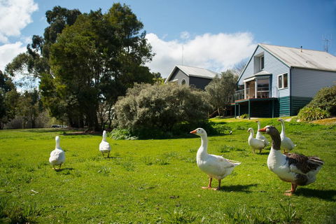 Boatshed Villa Green Door - Accommodation Asia 3