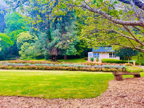 The Mountain View Cottage - Accommodation China 3