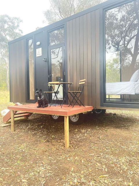 Whispering Wallaby By Tiny Away - Accommodation Asia 1