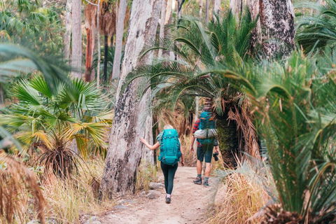 BIG4 Breeze Holiday Parks - Carnarvon Gorge - Accommodation Guide 0