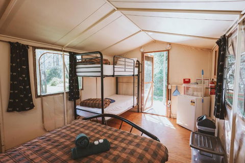 BIG4 Breeze Holiday Parks - Carnarvon Gorge - Accommodation Guide 1