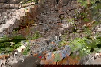 3-Day Kakadu 4WD Camping Safari from Darwin