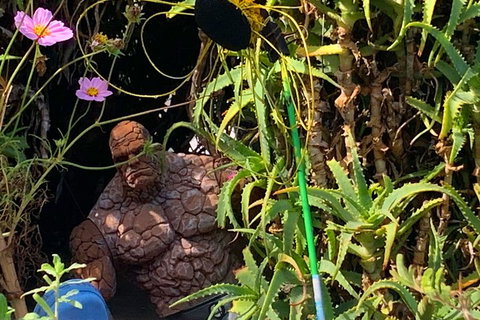 The Fully Local (Private) Tour - Accommodation Asia 5