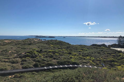 Penguin Island And Fremantle - Canoe, Chocolate & Coffee - Accommodation Guide 0