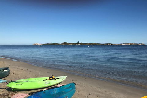 Penguin Island And Fremantle - Canoe, Chocolate & Coffee - Accommodation Guide 2