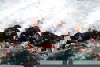 Book Viator Accommodation Vacations Accommodation China Accommodation China