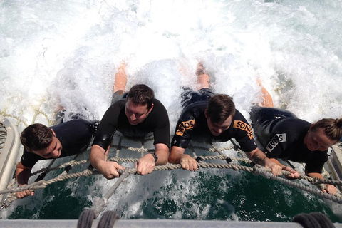 Cruise In Moreton Bay Marine Park And Moreton Island - Accommodation Guide 0