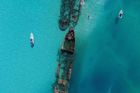 Cruise In Moreton Bay Marine Park And Moreton Island - Accommodation Guide 1