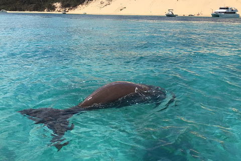 Cruise In Moreton Bay Marine Park And Moreton Island - Accommodation Guide 2