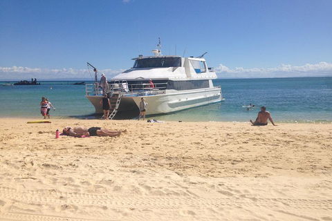 Cruise In Moreton Bay Marine Park And Moreton Island - Accommodation Guide 4