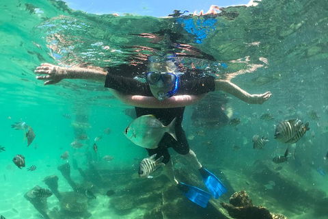 Cruise In Moreton Bay Marine Park And Moreton Island - Accommodation Guide 5