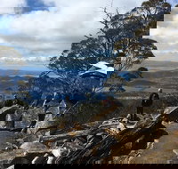 kunanyi / Mt Wellington Explorer Bus - 2 Hour Return Tour - Accommodation China