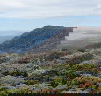 kunanyi/Mt Wellington Explorer Bus - One Way Tour - Accommodation China