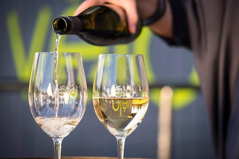 Full Day Tamar Valley Wine Tour - Accommodation Asia 2