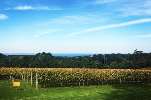 Mornington Peninsula Tour Inc Chairlift,beach Boxes,lunch,choc Tasting And More - Accommodation Guide 2