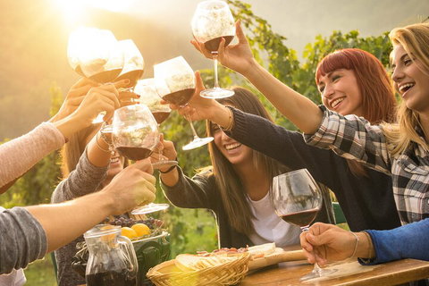 Mornington Peninsula Tour Inc Chairlift,beach Boxes,lunch,choc Tasting And More - Accommodation Guide 3