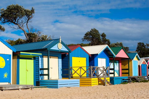 Mornington Peninsula Tour Inc Chairlift,beach Boxes,lunch,choc Tasting And More - Accommodation Guide 5