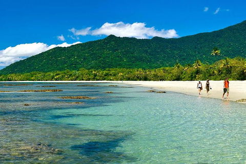 5-Day Best Of Cairns With Daintree, Kuranda, And Great Barrier Reef - Accommodation Guide 0
