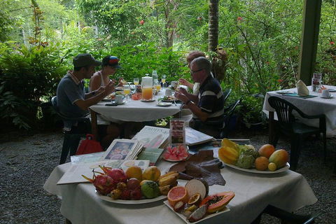 5-Day Best Of Cairns With Daintree, Kuranda, And Great Barrier Reef - Accommodation Guide 4