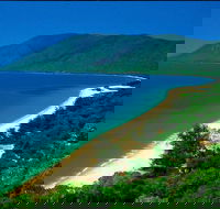 Cairns Reef and Rainforest Combo Daintree Rainforest and the Great Barrier Reef - Accommodation Guide
