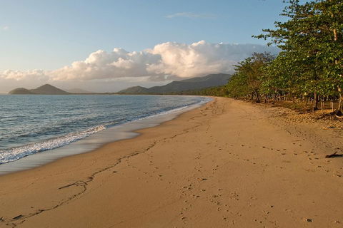 Cairns Reef And Rainforest Combo: Daintree Rainforest And The Great Barrier Reef - Accommodation Guide 4