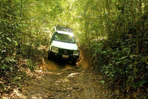 Barron Gorge And Kuranda National Park Half Day Rainforest And Waterfall 4WD Tour From Cairns - Accommodation Guide 2