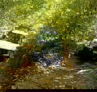 Cairns National Park Rainforest and Waterfall Small Group Tour Shore Excursion - Accommodation China